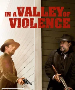 In A Valley Of Violence