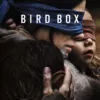 Bird Box
