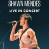 Shawn Mendes Live In Concert