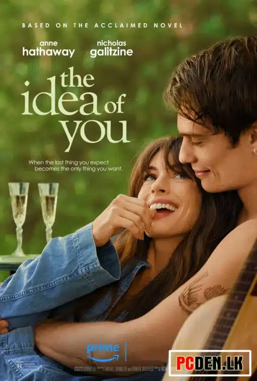 The Idea of You