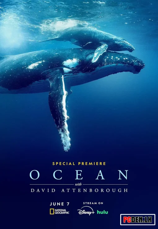 David Attenborough: Ocean